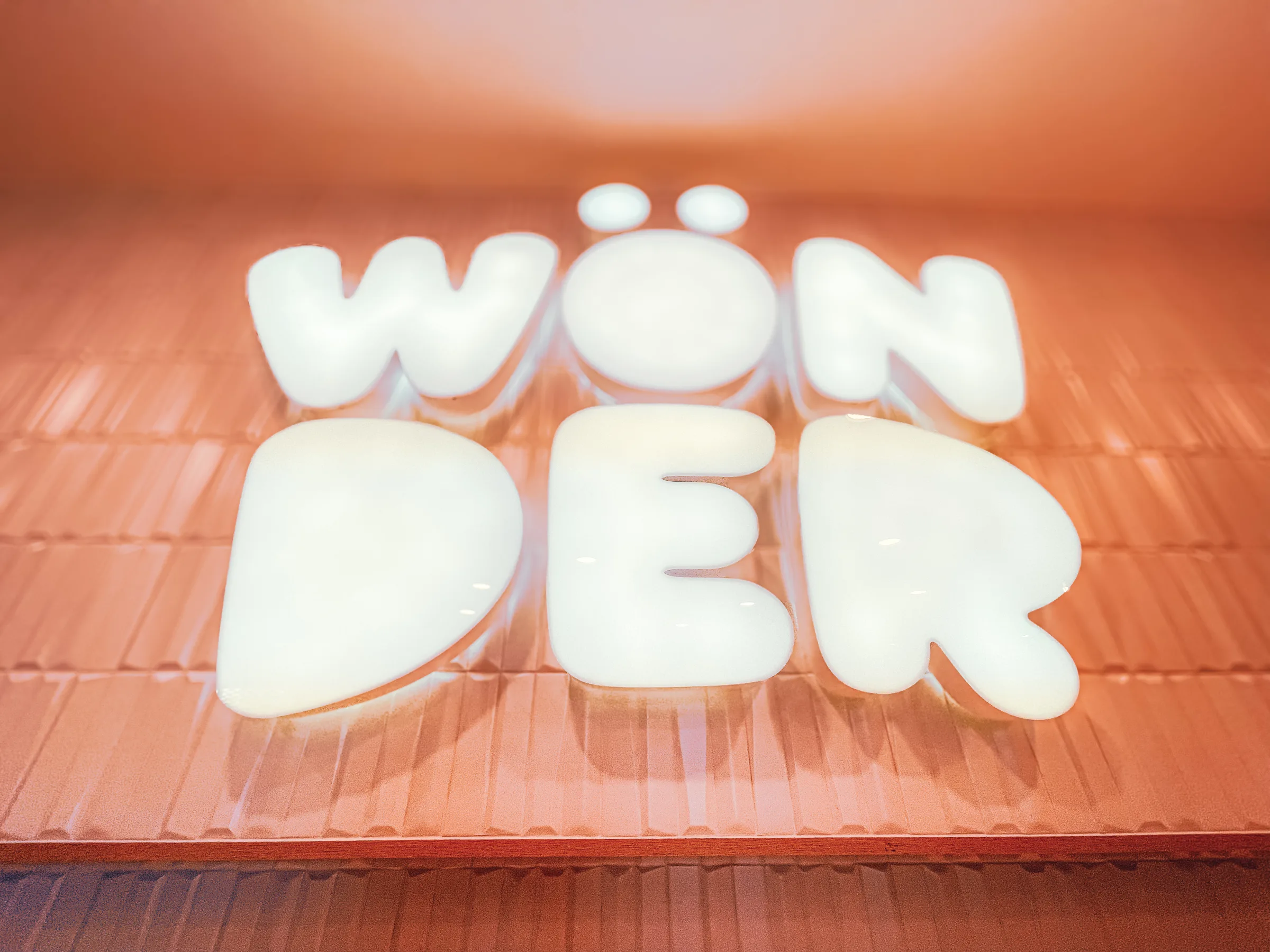 Wonder, imagen 4
